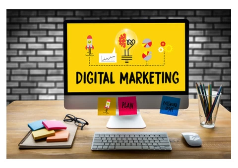 SEO audit training birmingham