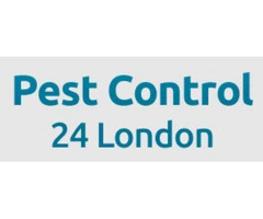 Same Day Pest Control UK Service | Emergency Pest 247