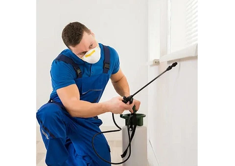 Same Day Pest Control UK Service | Emergency Pest 247 - 2/5