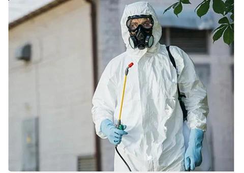 Same Day Pest Control UK Service | Emergency Pest 247 - 3/5