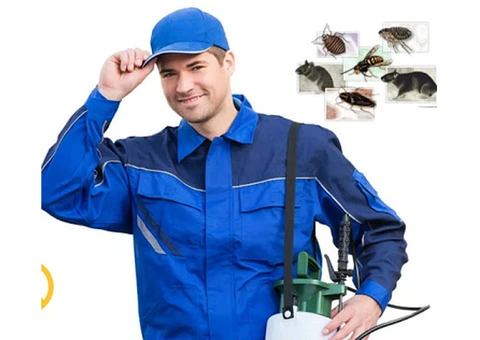 Same Day Pest Control UK Service | Emergency Pest 247 - 4/5