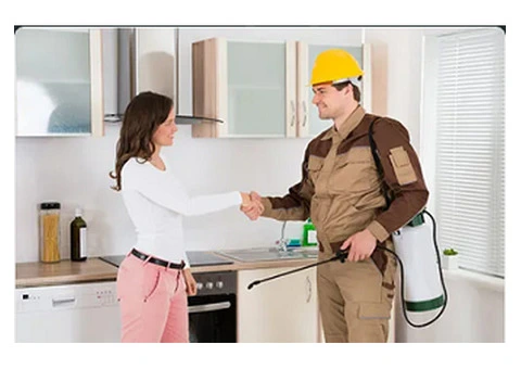 Same Day Pest Control UK Service | Emergency Pest 247 - 5/5