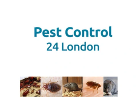 Professional Vermin Control London | Fast, Safe & Discreet Solutions