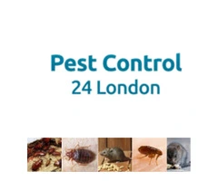 Professional Vermin Control London | Fast, Safe & Discreet Solutions