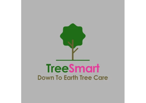 Expert Tree Care Rotherham - Tree Smart Professional Services - 1/3
