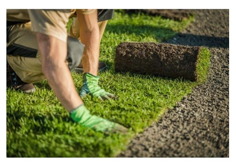 Brighten Your Garden with Premier Gardening and Landscaping Services in Erith