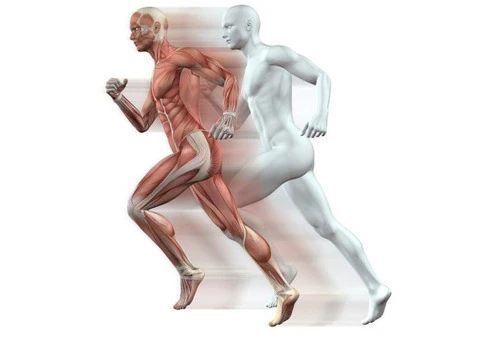 Strength Training in 2025: Your Complete Guide to Getting Stronger