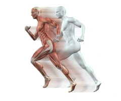 Strength Training in 2025: Your Complete Guide to Getting Stronger