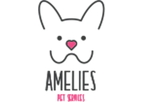 Trusted Pet Boarding in Dorking – Amelies Pet Services