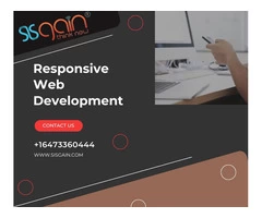 Top Responsive Development Agency in USA