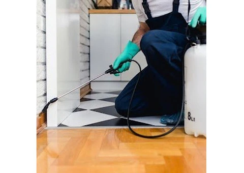 Bedbug Control Manchester – Effective & Reliable Solutions