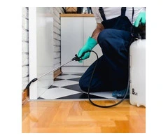 Bedbug Control Manchester – Effective & Reliable Solutions