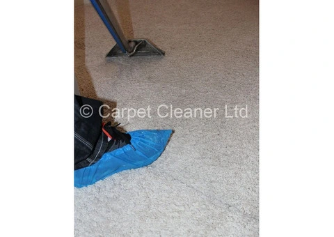 Curtain and Upholstery Cleaning Service London - 1/10