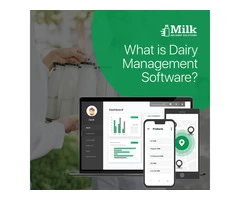 Dairy Management System