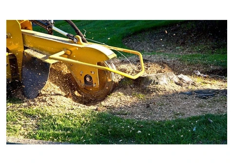 Stump Grinding in Surrey