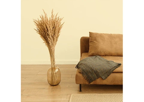 What Are the Best Sofa Legs for Style and Support?