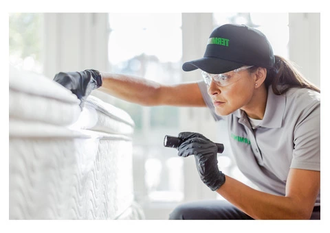 Pest Control Services