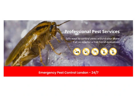 Trusted Vermin Control London Experts | Pest Control 24 London - 3/7