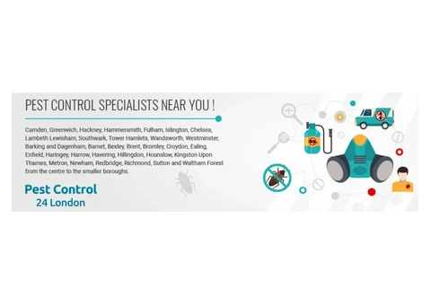 Trusted Vermin Control London Experts | Pest Control 24 London - 4/7