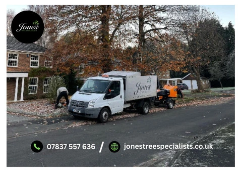 Tree surgeons | Jones Tree Specialists in Surrey