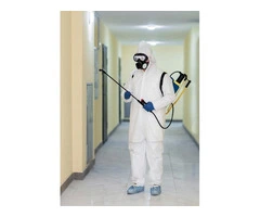 Emergency Pest Control London – 24/7 Fast & Reliable Pest Removal Services