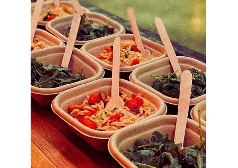 Mobile Food Van Catering - The Pizza & Burger Post - 2/28