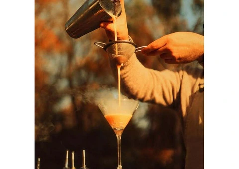 Mobile Bar Hire - The Cocktail Post - 11/28