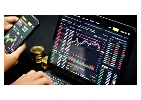 Do You Really Need a Crypto Accountant as a Day Trader?