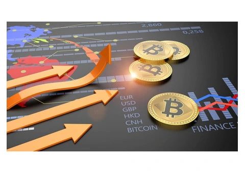 Can a Crypto Accountant Save You Money on Taxes?