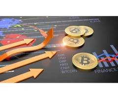 Can a Crypto Accountant Save You Money on Taxes?