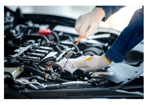 Car Dealers You Can Trust in the Hastings Area