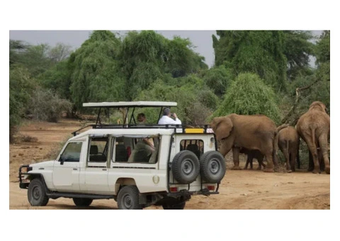 Farm Tours Kenya – Authentic Experiences by Ashford Tours & Travel LTD