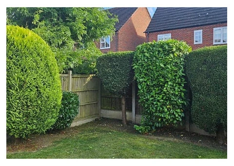 Garden Maintenance Kidderminster - CJP Garden Services