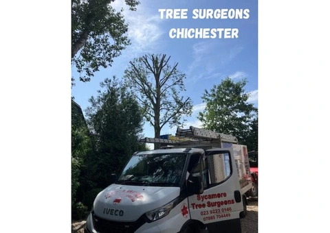 Tree Surgeons Chichester | Tree Surgery Experts