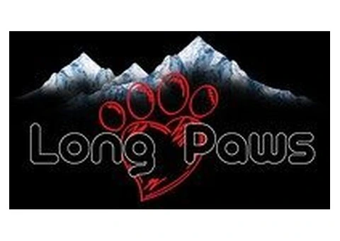 Long Paws | Premium Dog Collars, Harnesses, Leads & Accessories UK
