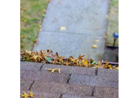 Safe & Reliable Gutter Cleaning in Worthing