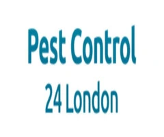 Expert Pest Control London – Fast, Reliable, and Affordable Solutions