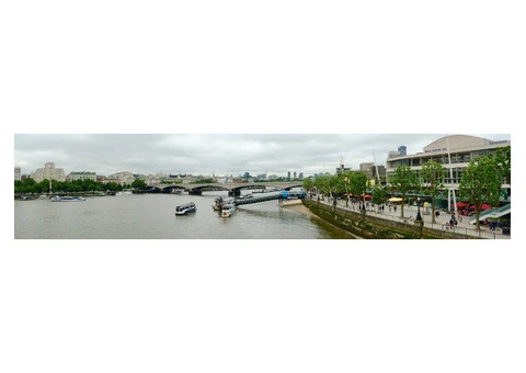 Tree Expert in London - 4/13