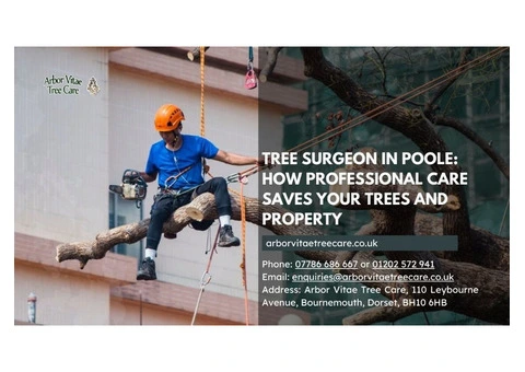 Tree Surgeon in Poole: How Professional Care Saves Your Trees and Property