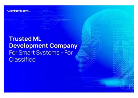 Trusted ML Development Company for Smart Systems