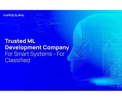 Trusted ML Development Company for Smart Systems