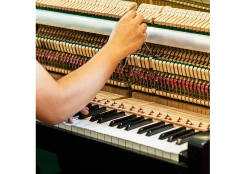 Perfect Pitch, Perfect Price – Piano Tuning by Eric The Piano Fixer