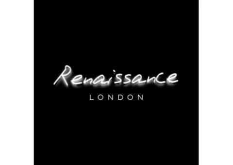Reliable Fireplace Repair in Bath – Renaissance
