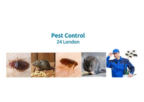 Professional Extermination London Services: Fast & Effective Pest Removal