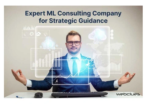 Expert ML Consulting Company for Strategic Guidance