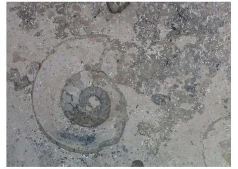 Premium Man Made Composite Quartz in London – Coulon Stone