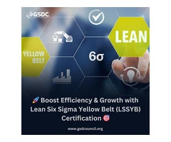 🚀 Boost Efficiency & Growth with Lean Six Sigma Yellow Belt (LSSYB) Certification 🎯