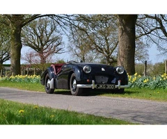 Expert Porsche Specialist in Kent