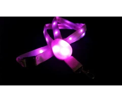 Light Up LED Lanyards