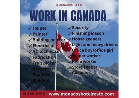 BREAKING: Move to Canada today!